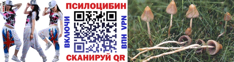 Галлюциногенные грибы Psilocybe мега зеркало Теберда